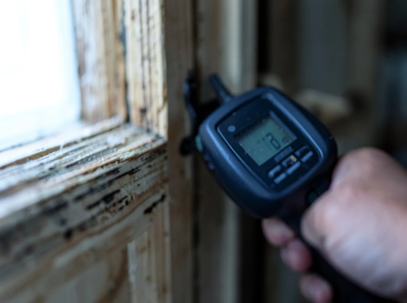 Commercial Water Damage Restoration in Wrentham, MA